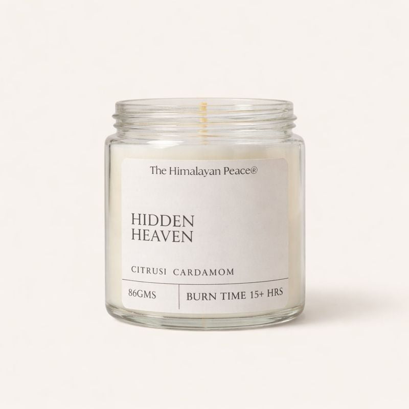 Citrus and cardamom scented candle inspired by Himalayan monsoon forests